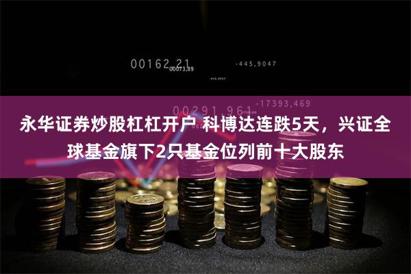 永华证券炒股杠杠开户 科博达连跌5天，兴证全球基金旗下2只基金位列前十大股东