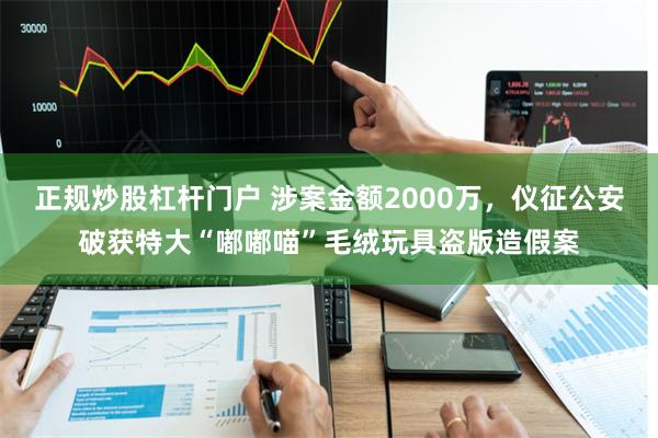 正规炒股杠杆门户 涉案金额2000万，仪征公安破获特大“嘟嘟喵”毛绒玩具盗版造假案